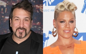Joey Fatone Recalls Being 'Friend Zoned' by Pink: 'I Guess I Wasn't Her Type'