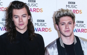 One Direction Fans Thrilled As They Believe Harry Styles And Niall Horan Reunite In L A