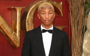 Pharrell Williams Cleared From Perjury Accusation in 'Blurred Lines' Case