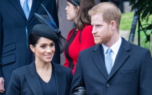 Royal Photographer Blames Meghan Markle for Prince Harry's Anger to Media