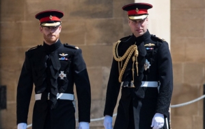 Prince Harry and Prince William Advised to 'Rebuild' Their Relationship by a Friend