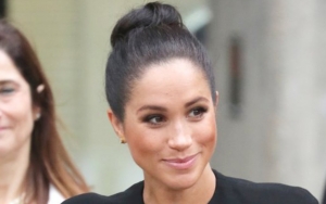 Meghan Markle's Alleged Political Ambition Revealed