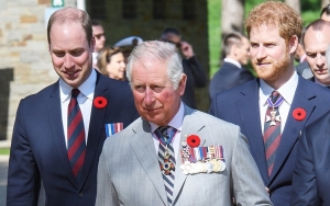 Prince Harry Has 'Unproductive' Talks With Prince William and Charles After Bombshell Interview