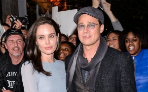 Angelina Jolie Offers to Show 'Proof' of Domestic Violence Amid Custody Battle With Brad Pitt