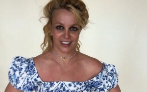 Britney Spears' Lawyer Intends to Make Jodi Montgomery Her Permanent Conservator