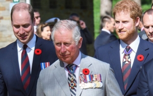 Report: Prince Harry and Prince William's Tension With Dad Prince Charles Is Over Money