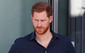 Prince Harry Talks About Princess Diana's Tragic Death in Foreword for Children's Book