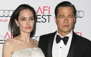 Angelina Jolie's Abuse Allgations Reportedly Get Brad Pitt 'Heartbroken'