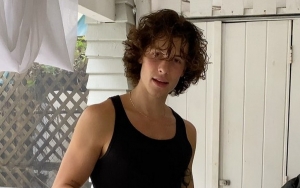 Shawn Mendes' Car Stolen After Thieves Broke Into His House