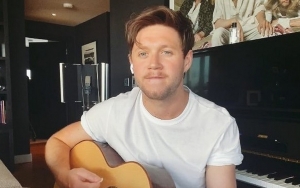 Man Arrested After Breaking Into Niall Horan's House for Second Time