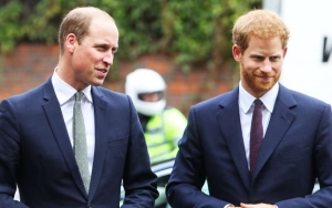 Report: Prince William Accuses Prince Harry of 'Putting Fame Over Family'