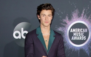Man Suspected of Stealing Shawn Mendes' Car Has Been Arrested