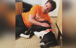 Michael J. Fox Pays Tribute to Beloved Dog After His Death