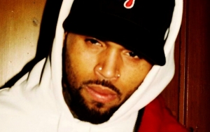 Chris Brown Sued by His Housekeeper After Her Sister Was Attacked by His Dog