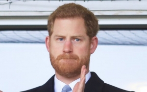 Woman Claiming to Be Prince Harry's Fiancee Calls for His Arrest for Not Marrying Her