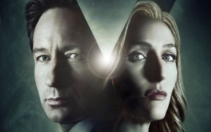 Gillian Anderson and David Duchovny Share Sweet 'X-Files' Reunion Photo