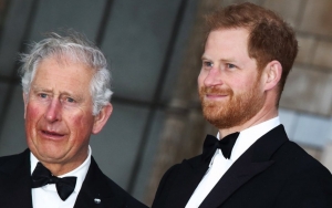 Report: Prince Harry Had 'Face-to-Face' Chat With Prince Charles Before Returning the U.S. on Monday