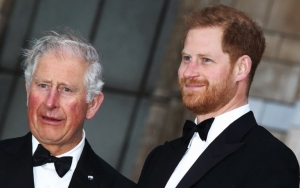 Prince Harry Arrives in Montecito, Doesn't Have One-on-One Chat With Prince Charles