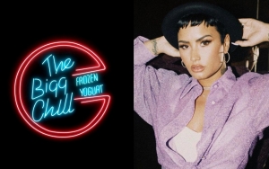 Fro-Yo Shop Denies Demi Lovato Donation Rumor: Never Heard from Her Since 'Sorry, Not Sorry' Apology