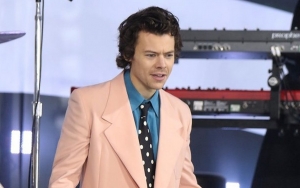 Harry Styles 'Excited' for Steamy Nude Sex Scenes in Gay Movie 'My Policeman'