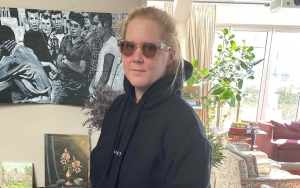 Amy Schumer Still Hopeful to Have Another Baby Despite Quitting IVF
