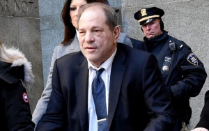 Harvey Weinstein's Lawyer Given 30 Days to Challenge His Extradition to Los Angeles