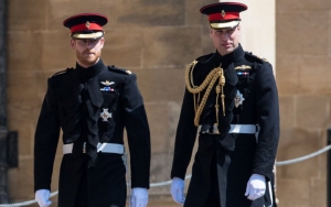 Prince William and Prince Harry Haven't Mended Their Strained Relationship