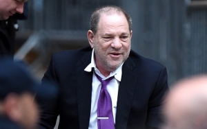 Harvey Weinstein Demands Refund of $1 Million as He Sues His Former Lawyer