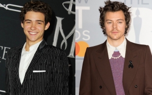 'HSM' Star Joshua Bassett Lets Slip of His Sexuality While Gushing Over Harry Styles