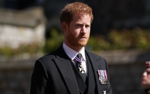 Prince Harry Compares Life as Royal to 'Mix Between The Truman Show and Living in Zoo'