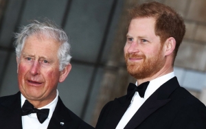 Prince Harry Slams His Dad Charles for Making Him Through 'Cycle' of 'Pain and Suffering'