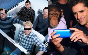 The Offspring Slammed by PETA Over Chimpanzee Music Video Starring John Stamos