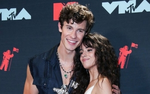 Camila Cabello and Shawn Mendes Team Up for Mental Wellness Series