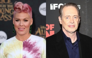 Pink Embarrassed for Being 'Very Aggressive' When Running Into Steve Buscemi