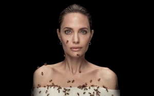Angelina Jolie Didn't Shower for Three Days to Avoid Getting Stung in Bee Photoshoot 
