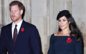 Prince Harry Says Pleas for Help Amid Meghan Markle's Struggles Were Met With Silence by His Family