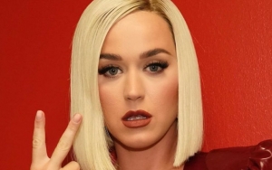 Katy Perry's Daughter Has Her Teeth as She Reveals Daisy's Milestones