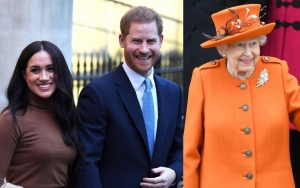 Prince Harry and Meghan Markle Introduce Baby Lili to The Queen via Video Call