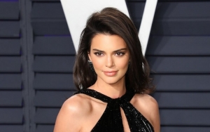 Kendall Jenner's Stalker Injured When Trying to Break Into Her Gated Community