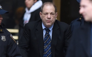 Harvey Weinstein Set for Los Angeles Extradition Following Judge Approval