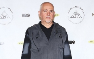 Peter Gabriel Needs Government Insurance for His 2021 Womad Festival