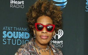 Macy Gray Insists U.S. Flag Should Be Redesigned as It 'No Longer Represents Democracy and Freedom'