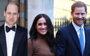 Prince William, Prince Harry Had 'Fierce' Argument Over Meghan Markle's Bullying Allegations