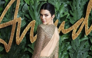 Kendall Jenner's Stalker Banned From Coming Near Her After Trying to Jump Over Her Fence 