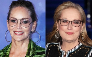 Sharon Stone Raises Eyebrows With Her Comments on Hollywood's Meryl Streep Standard
