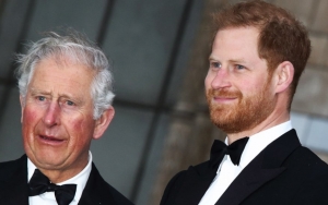 Prince Charles Doesn't Strip Prince Harry of Cash Following Royal Exit Despite Harry's Claim