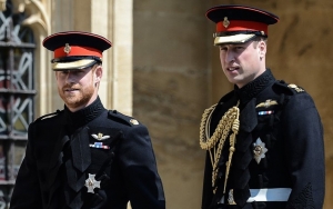 Prince William and Prince Harry to See Diana Statue Separately Before Public Unveiling