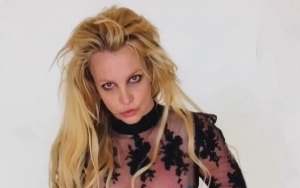 Britney's Father Aware of Restrictions Placed Upon Star, Jodi Montgomery Claims
