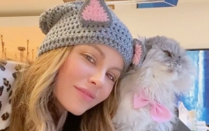 Kate Beckinsale's Pet Cat Underwent Nine Months of Chemo to Beat Cancer