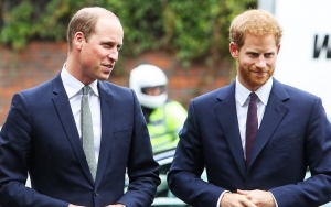Prince William and Prince Harry Pictured Standing Together in Front of Diana Statue at Sunken Garden